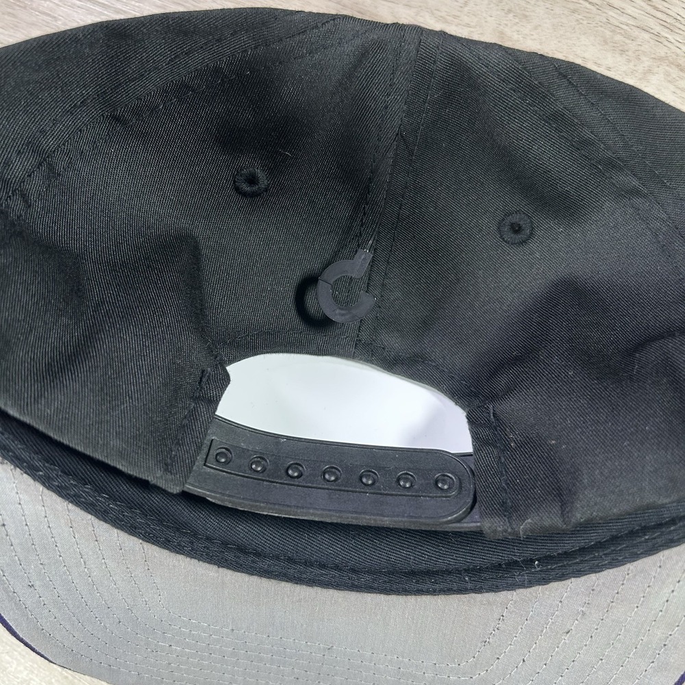 VTG Tampa Devil Rays Snapback Hat Deadstock MLB Baseball Twins‎ Black Purple Cap - Picture 2 of 9
